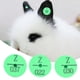 thumbnail image 3 of 100Pcs Quality Plastic Animal Livestock Ear Tag for Rabbit Fox Dog Marker Label(Green), 3 of 4