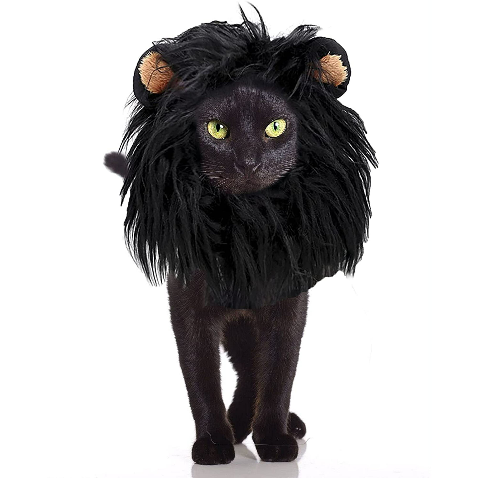 Dog Cat Wig Pet Costumes, Lion Hair Headgear for Small Puppy Cosplay  Costume, Black Lion Mane Wig for Dogs Cats Christmas Halloween Costume  Clothes Party Festival Fancy Dress Up | Walmart Canada