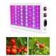 thumbnail image 2 of 1000w 216 llevó la lámpara de la planta crece la lámpara las plantas de interior del espectro completo crecen la luz de la planta de la lámpara, 2 of 5