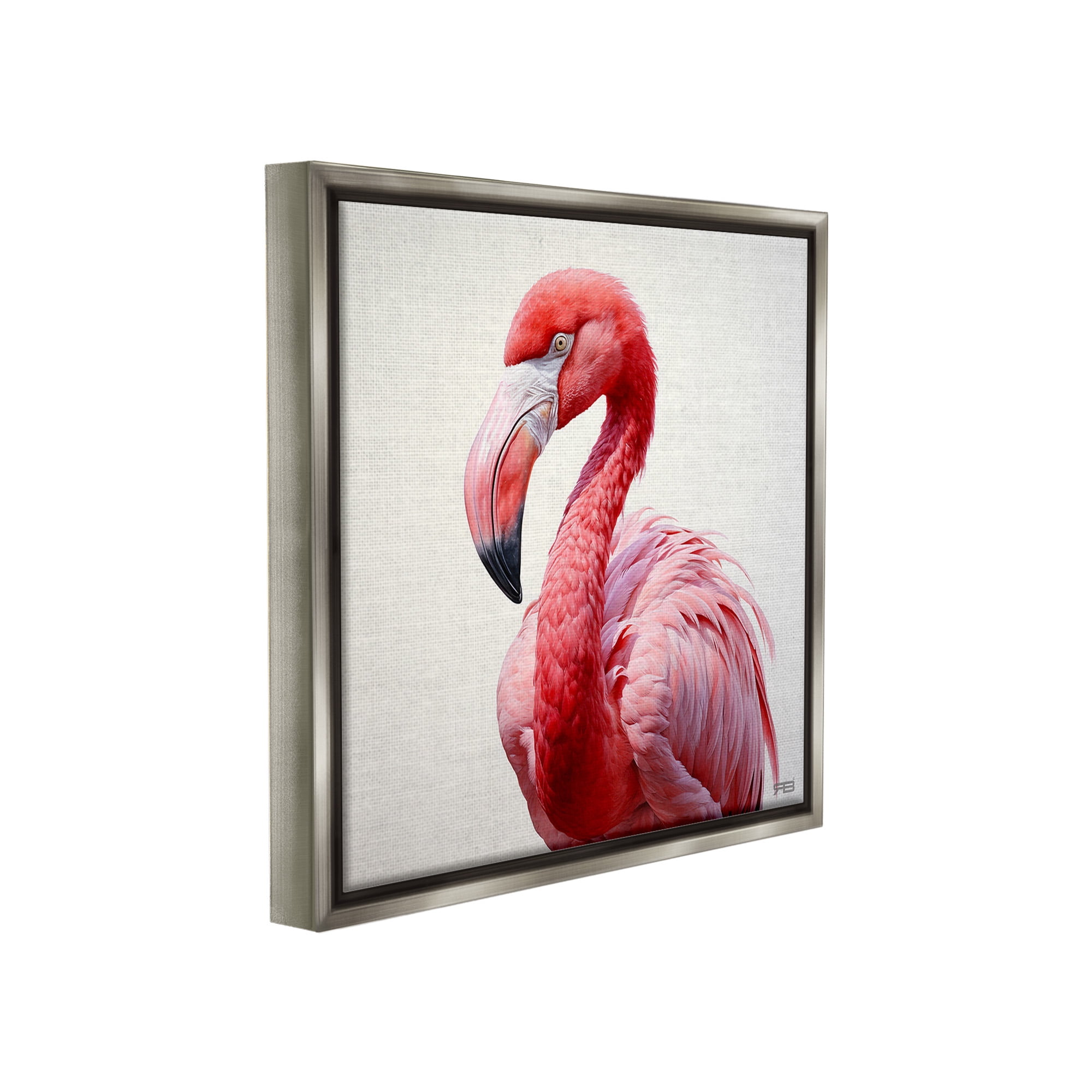 Stupell Industries Traditional Flamingo Portrait Animals & Insects Painting Gray Floater Framed Canvas Art Print Wall Art, 18 x 18
