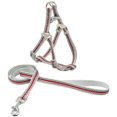 thumbnail image 1 of Dog Harness Vest, Adjustable Reflective Pet Dog Harness Vest Leash Nylon Walking Traction Rope, Leashes for Puppy Red S, 1 of 4