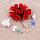thumbnail image 4 of 1 pieza de decoración de coral de poliéster, decoración de coral de acuario de 4 7/10" x 4 7/10" x 1 9/10" para decoración de peceras de acuario [actualización] TUNC Sencillez, 4 of 4