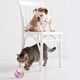 thumbnail image 5 of Bola de juguete para mascotas que brilla intensamente, bolas interactivas para perros y gatos con control remoto (rosa), 5 of 7
