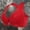 Red, variant on Lifting Bras For Sagging Breasts Bras For Older Women Uplift Bra Bras For Women No Underwire Sleep Bralette Women Wireless Bras Full Coverage Support Bra Breastfeeding Support Bra Gym Bra