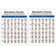 thumbnail image 1 of Mandolin Chord Chart Fingering Diagram Exercise Diagram Copper Plate Paper Chord Trainning Guide Fingering Practice Chart for Students Teacher (Small, 1 of 3
