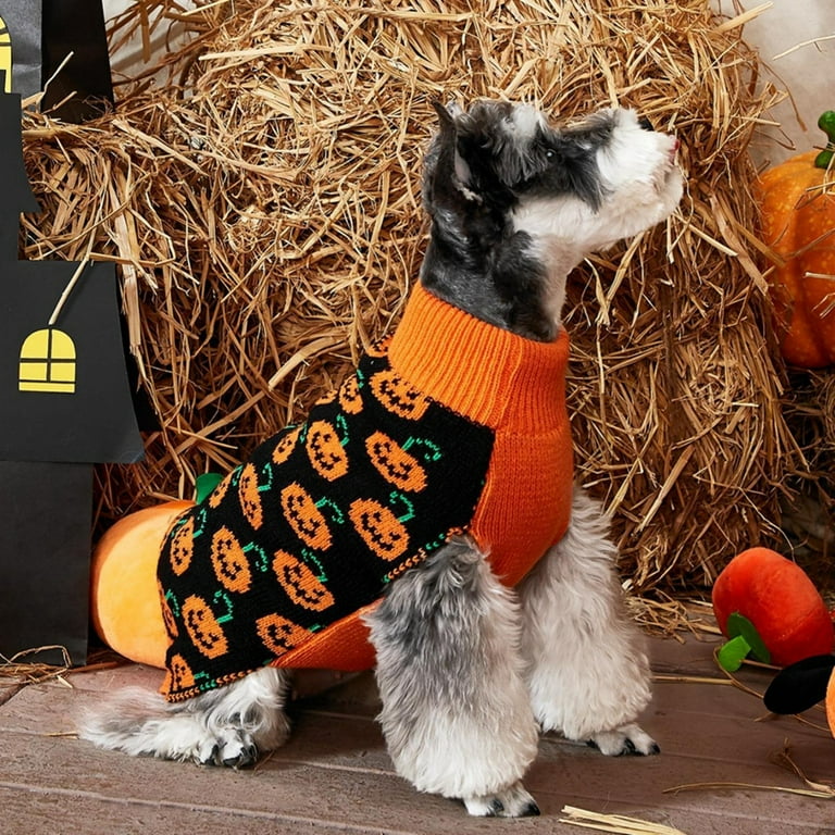 Dog clearance pumpkin sweater