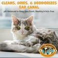thumbnail image 5 of Pack Approved Cat & Dog Ear Cleaning Solution - Helps Remove Wax, Debris, and Dirt - Non-Stinging, Non-Burning Daily Use Formula - Cat & Dog Ear Wash for Itchy Ears - Cucumber Melon Scent (8oz), 5 of 7