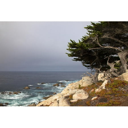 USA, California, Monterey. 17-Mile Drive Coast Near Ghost Tree Print Wall Art By Kymri (Best Drive In California Coast)