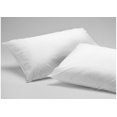 thumbnail image 1 of Set Of Two Anti Bed Bug Pillow Protectors, 1 of 2