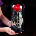 thumbnail image 7 of Rose Flower Gifts for Women, Forever Rose in Plastic Dome Romantic Gifts for Her Christmas Anniversary Valentine's Day Mother's Day Birthday - Red, 7 of 7