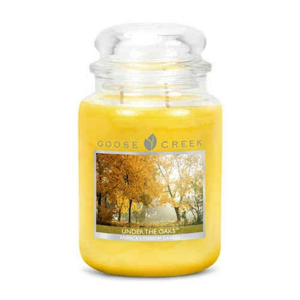 Goose Creek ES26541 24 oz Essential Under the Oaks Jar Candle Walmart