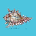 thumbnail image 2 of Betsy Drake CT094 Conch Coaster - Set of 4, 2 of 3