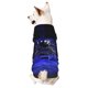 thumbnail image 1 of Balery Steel Skull Sudadera con Capucha para Perros Pequeños – Ropa para Mascotas, Disfraz para Perros y Gatos, Ideal para Fiestas y Cosplay-Large, 1 of 7
