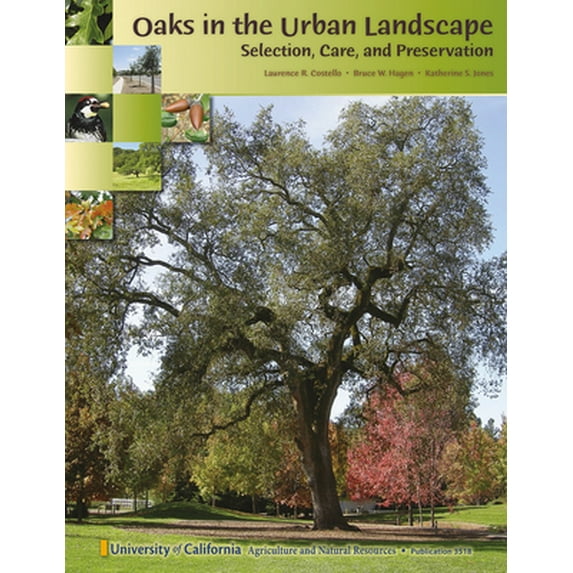 Pre-Owned Oaks in the Urban Landscape (Paperback) 1601076800 9781601076809