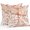 Amber, Orange, Copper, variant on Throw Pillow Covers 20x20 Inch Set of 2, Palm Tree Monstera Waterproof Outdoor Pillow Covers, Cream Beige Leaf Boho Botanical Tropical Decorative Cushion Pillowcases for Patio Garden Couch Bed