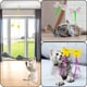 thumbnail image 5 of Cat Toys Mitubati con puerta colgante retráctil y gatito (paquete de 6), 5 of 5