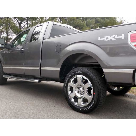 Stainless Steel Molding Insert 10Pc Fits 2009-2014 Ford F-150 MI49310 QAA