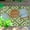 Green&Creme, variant on Milan Design 100% Eco-friendly Lightweight Plastic Outdoor Mat/Rug