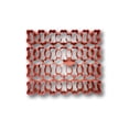 thumbnail image 1 of Coupeur Multiple d'Os pour Chien (1 Pouces x 28 Os), 1 of 10