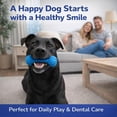 thumbnail image 5 of Dual-Action Canine Dental Prop, Dog Dental Chew Toy for Easier Teeth Brushing, Pet Oral Care for Small, Medium and Large Dogs (2pcs), 5 of 9
