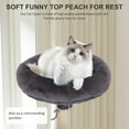 thumbnail image 4 of CL.HPAHKL 37 Inches Cat Tree Tower, Modern Cat Tower with Sisal Scratching Posts Small Cat House with Dangling Toy Kittens Condo with Cozy Sleeping Perch for Indoor Cats, Kittens, Light Gray, 4 of 9