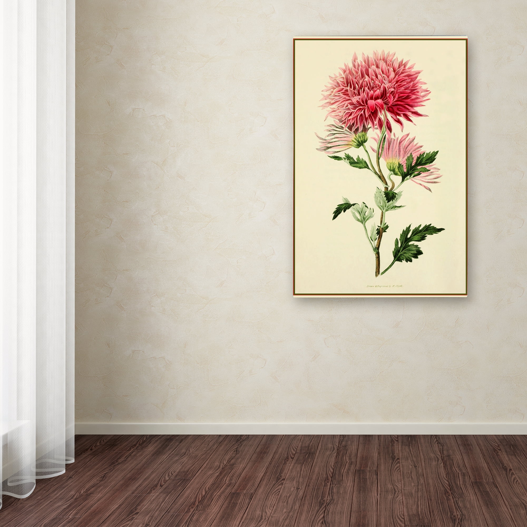 Trademark Fine Art 'Dahlia' Canvas Art by Vintage Lavoie