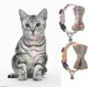 thumbnail image 5 of Collar para gato LzGUNGY con cascabel y pajarita ajustable antiasfixia 2 uds, 5 of 5