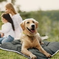 thumbnail image 3 of Precious Tails Co-Pilot Waterproof Dog Bed, Grey, Large, 36"L x 27"W x 5.5"H, 3 of 7