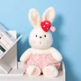 thumbnail image 2 of Juguetes de peluche de conejo de dibujos animados para niños, muñeca de conejo de peluche suave, almohada de apaciguar para dormir, regalo de cumpleaños de Navidad para niños y niñas, 2 of 4