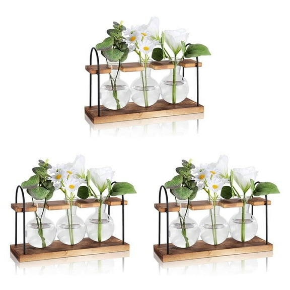3X Plant Propagation Station with Wooden Stand,Plant Terrarium Desktop Propagation Stations,Air Planter Bulb Glass Vase