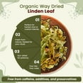 thumbnail image 4 of Organic Way Linden Flower & Leaf Herbal Tea Blossom & Culinary Use | European Wild-Harvest | Kosher & USDA Certified | Vegan, Non-GMO & Gluten Free | 100% Raw from Albania, 4 of 8