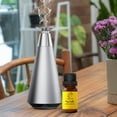 thumbnail image 6 of Scent Aura IV My Castle  Hotel Diffuser Oil Inspired by The Ritz Carlton Hotel, Bergamot, Bamboo, White Tea, Orange Blossom, Green Tea, Amber, 0.34 Fl Oz, 3 Pack, 6 of 8