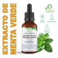 thumbnail image 1 of EXTRACTO DE MENTA VERDE 60 ML VIVONATURAL. 100% NATURAL. ORGÁNICO, 1 of 3