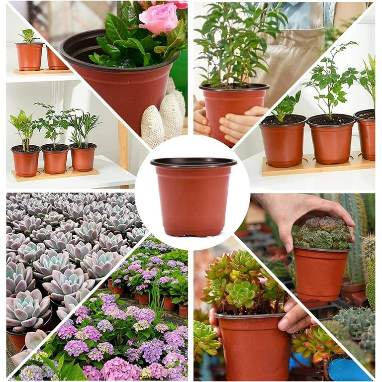50 Pack Plant Nursery Pots,Bexikou 5 Inch Plastic Seedling Pots for  Plants,Plastic Plant Pots with Holes,Seed Starting Pot,Garden Flower Pots  for ...
