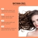 thumbnail image 5 of Aceite esencial Batana Oil para el crecimiento del cabello, aceite de Batana, aceite para el crecimiento del cabello, aceite para el cabello, estimula el crecimiento del cabello, el aceite de Batana h, 5 of 9