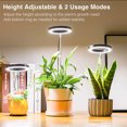thumbnail image 5 of Ground-plugged Plant Light Timable Dimmable Angel Ring Full Spectrum Imitation Sunlight Succulent Pot Grow Light Fill Lights, 5 of 5