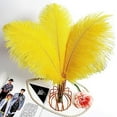 thumbnail image 5 of Nvzi 24pcs Yellow Ostrich Feathers Natural Bulk 10-12Inch 25cm-30cm for Wedding Party Centerpieces Easter Gatsby and Home Decorate Ostrich Feathers, 5 of 5