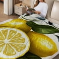 thumbnail image 2 of FCXZI Lemon Inspirational Quote Flannel Blanket - Soft Cozy All-Season 40*50in, 2 of 7