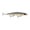 Halloween, variant on Rapala Shadow Rap Jerkbait 11 Halloween
