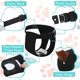 thumbnail image 3 of Paquete de 2 pantalones para perros, pañales para perros con 6 toallas sanitarias, pantalones protectores ajustables para perras en celo, sangrado mensual, cachorros (L), 3 of 4