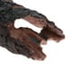 thumbnail image 3 of Escondite Cueva Colco Adorno de acuario, 3 of 8