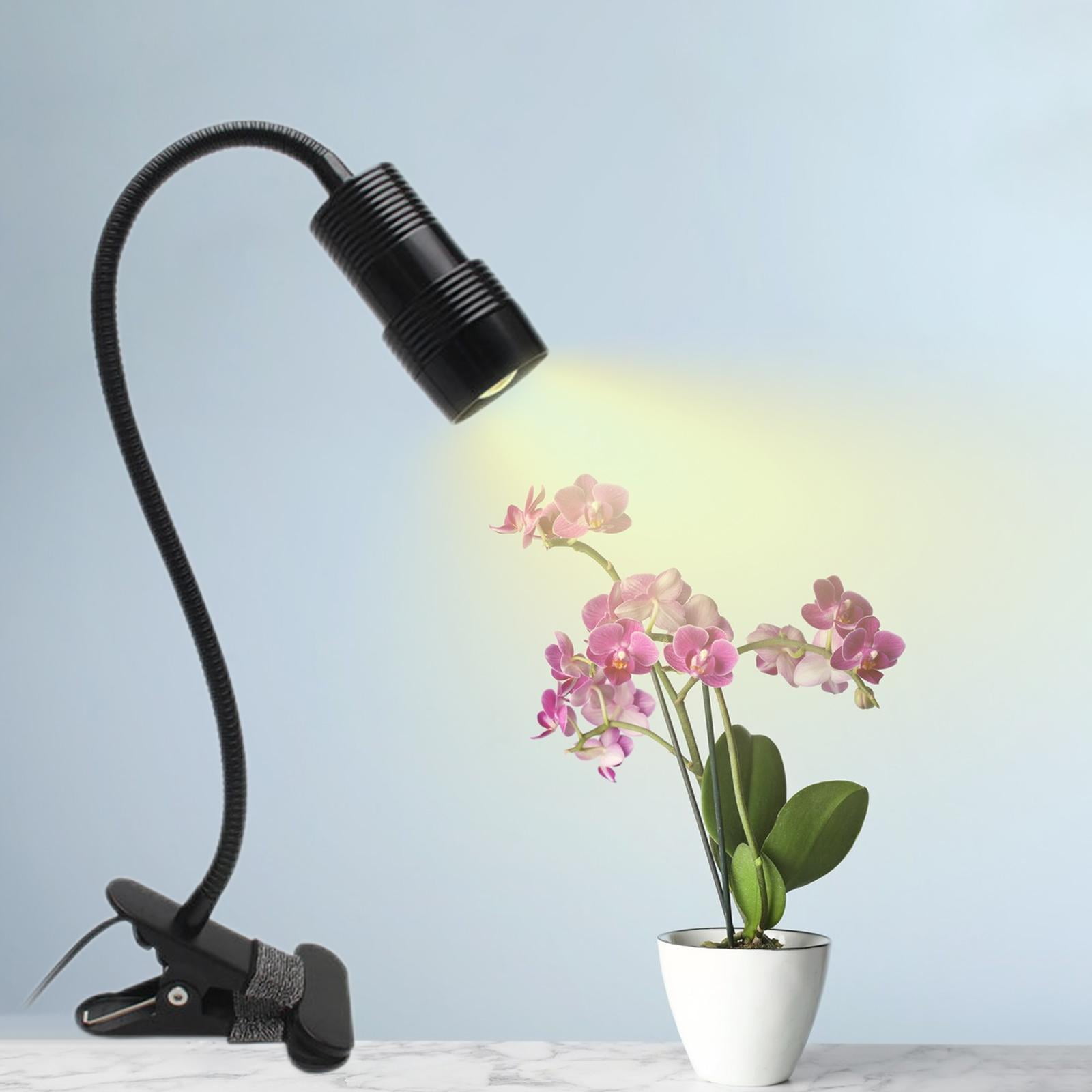 Puur chef Trouw Lights 5 Dimmable Brightness Sunlike Fixture 5 Dimmable Lamp for Indoor  Plants, Potted, Hydroponics ,Indoor Flower ,Vegetables - Walmart.com