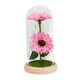 thumbnail image 3 of Girasol en cúpula de cristal Regalos Lámpara de girasol para mujeres Mamá Esposa Abuela Amiga Estilo B, 3 of 9