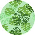 thumbnail image 1 of Ahgly Company Indoor Round Patterned Light Green Area Rugs, 5' Round, 1 of 6