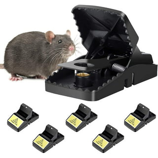 Intruder Mouse and Rodent Traps, Gray - 6 count