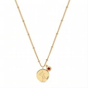 Valloey Rover 18k Gold Vacuum Plated Dainty Flower Birthstone Pendant Necklace for Women Birthday Gifts(January to December）