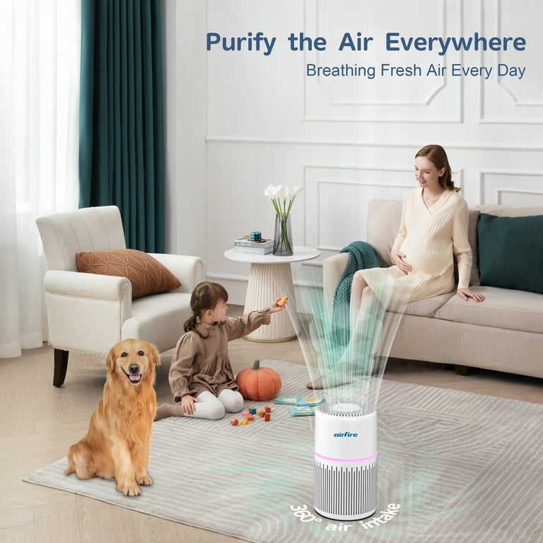 Purificateur d'air avec filtre HEPA H13 à 3 étapes, Purificateur d'air