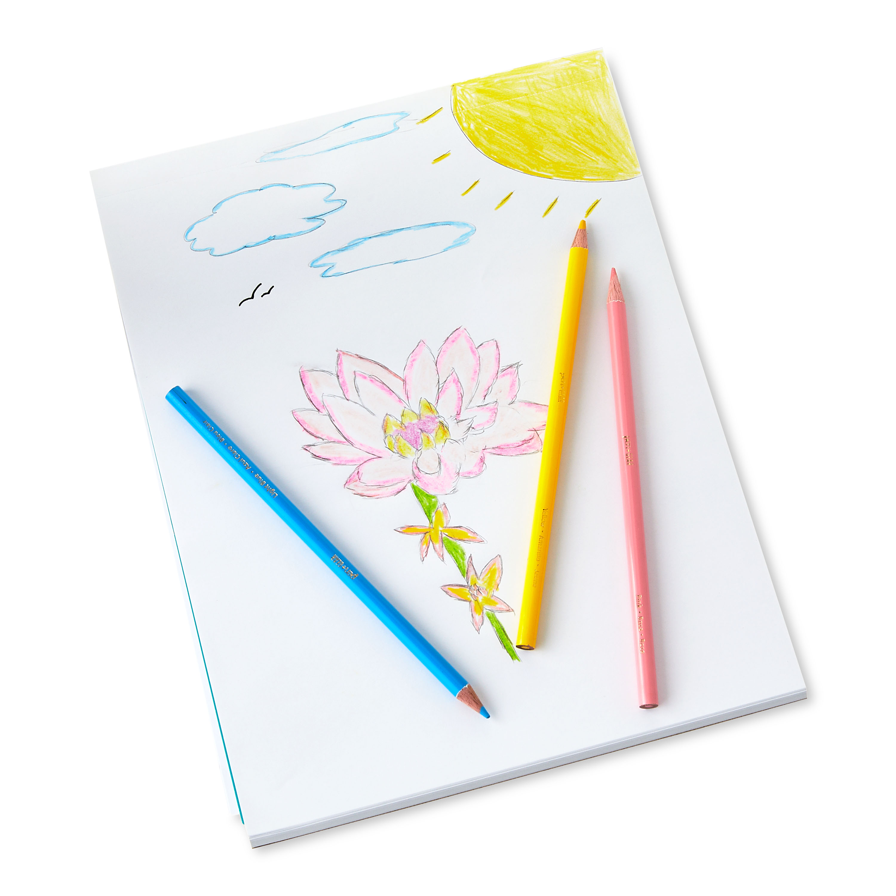 Lápices de colores afilados Pen+Gear, colores surtidos, 12 piezas 5