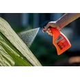 thumbnail image 4 of Ben's Clothing & Gear Insect Repellent 24 oz. Pump Spray, 4 of 5