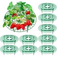 thumbnail image 1 of Paquete de 10 soportes para fresas, estantes ajustables para cultivo de fresas, soporte para jardín,, estante para verduras para mantener la fruta elevada para evitar la pudrición del suelo oso de fresa Hogar, 1 of 5